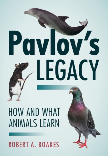 Pavlov's Legacy - How and What Animals Learn