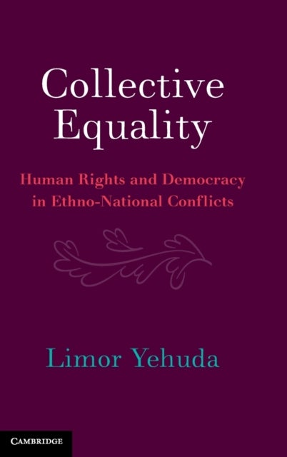 Collective Equality - Human Rights and Democracy in Ethno-National Conflicts