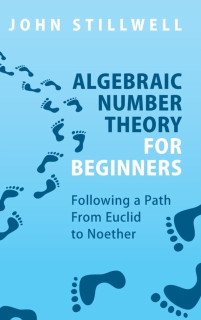 Algebraic Number Theory for Beginners - Following a Path From Euclid to Noether