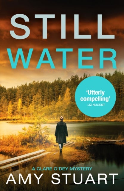 Still Water - An absolutely gripping private investigator crime novel