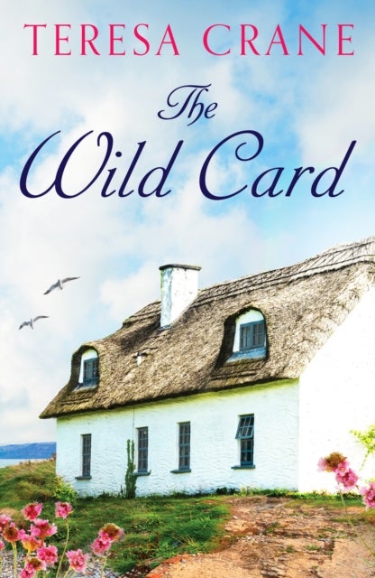 The Wild Card - An unforgettable novel of family drama
