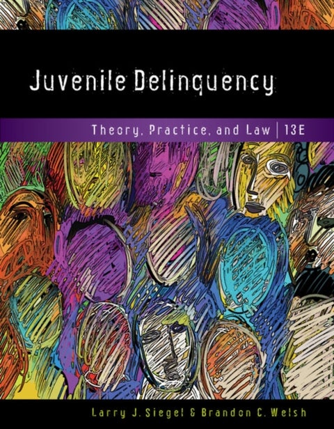 Juvenile Delinquency - Theory, Practice, and Law