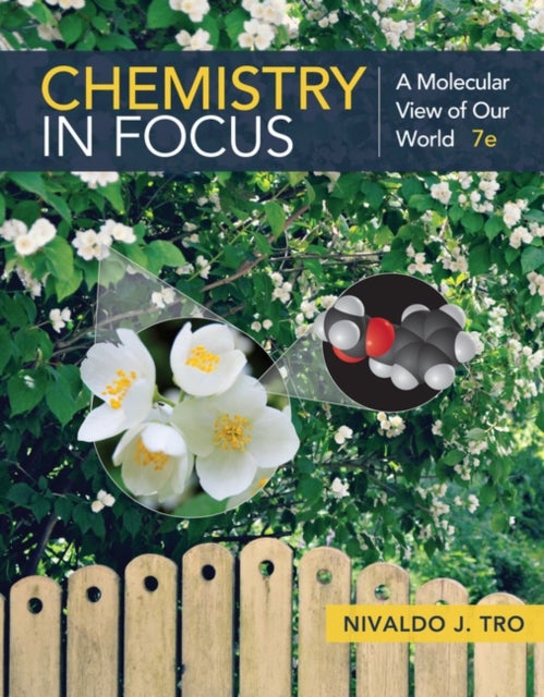 Chemistry in Focus - A Molecular View of Our World