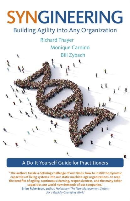 Syngineering: Building Agility into Any Organization - A Do-It-Yourself Guide for Practitioners