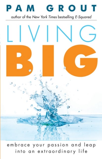 Living Big - Embrace Your Passion and Leap Into an Extraordinary Life (For Readers of The Course in Miracles Experiment and Thank & Grow Rich)