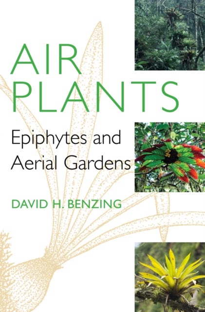 Air Plants - Epiphytes and Aerial Gardens