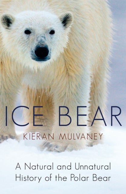 Ice Bear - A Natural and Unnatural History of the Polar Bear