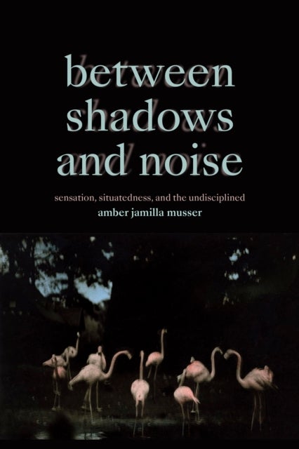 Between Shadows and Noise - Sensation, Situatedness, and the Undisciplined