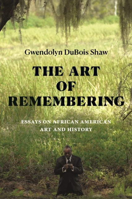 The Art of Remembering - Essays on African American Art and History