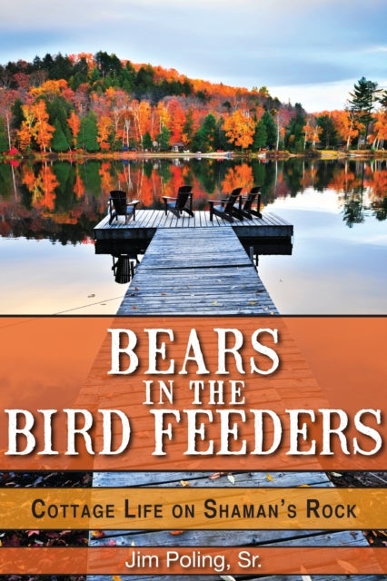 Bears in the Bird Feeders - Cottage Life on Shaman's Rock