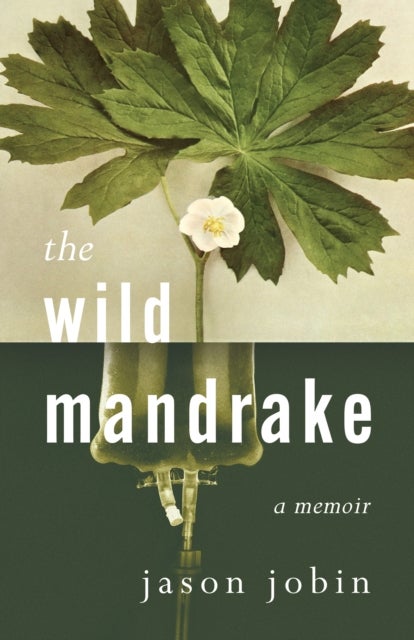 The Wild Mandrake - A Memoir