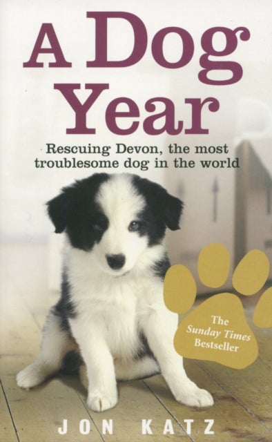 A Dog Year - Rescuing Devon, the most troublesome dog in the world