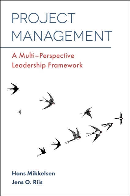 Project Management - A Multi-Perspective Leadership Framework