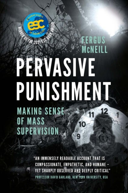 Pervasive Punishment - Making Sense of Mass Supervision