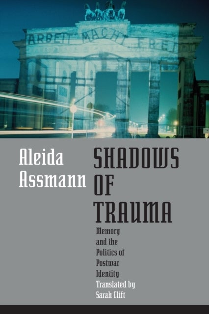 Shadows of Trauma - Memory and the Politics of Postwar Identity