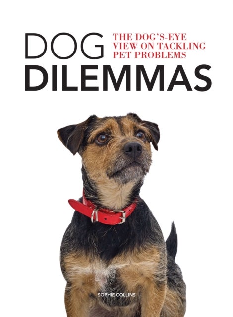 Dog Dilemmas - The Dog’s-Eye View On Tackling Pet Problems