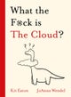What the F*ck is The Cloud?