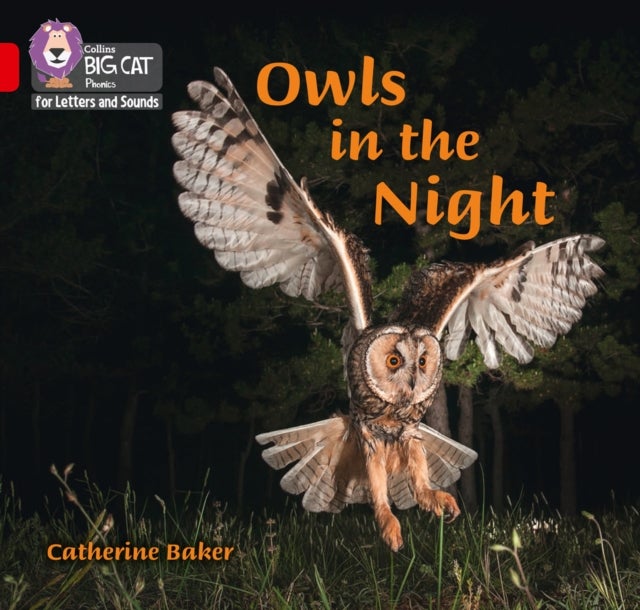 Owls in the Night - Band 02b/Red B