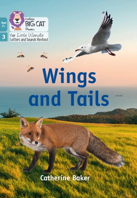 Wings and Tails - Phase 3 Set 1 Blending Practice