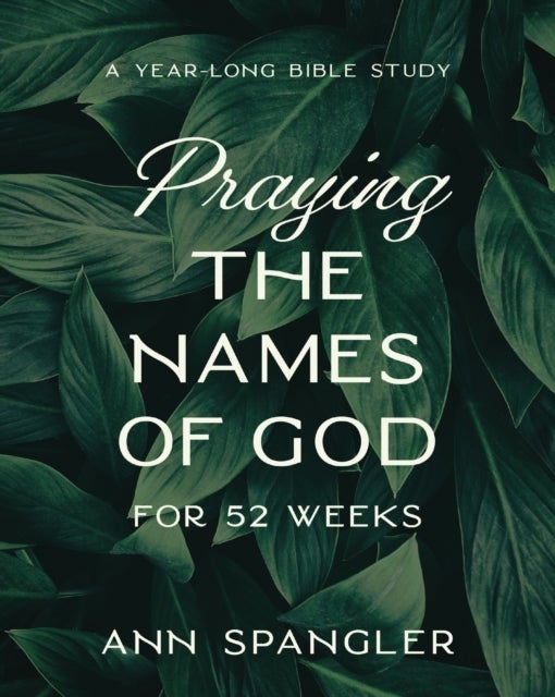 Praying the Names of God for 52 Weeks, Expanded Edition - A Year-Long Bible Study