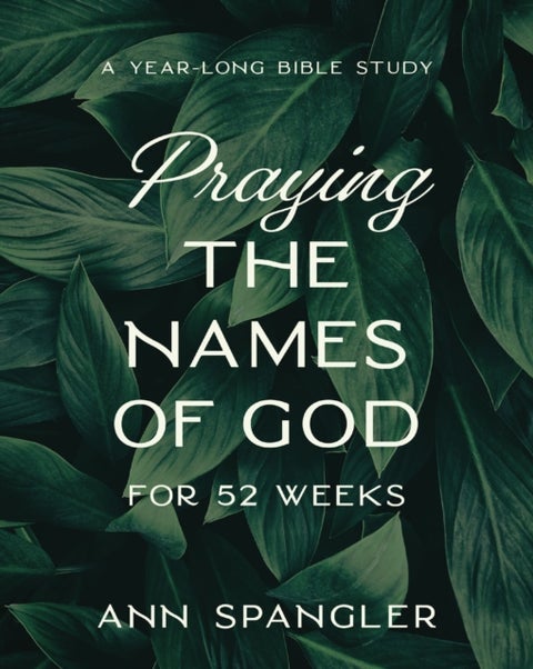 Praying the Names of God for 52 Weeks, Expanded Edition - A Year-Long Bible Study