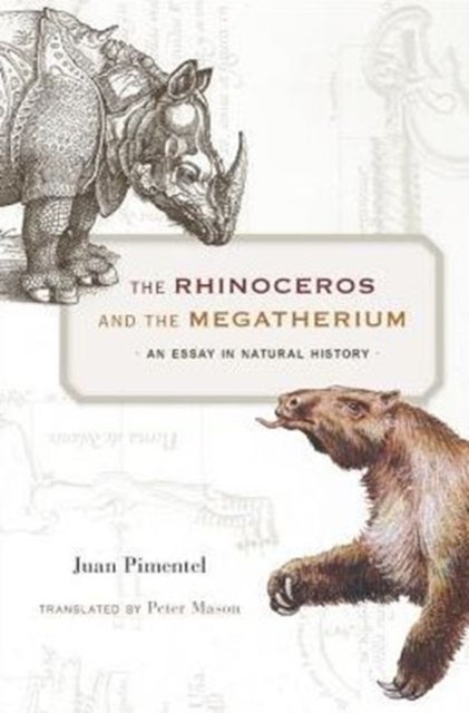 The Rhinoceros and the Megatherium - An Essay in Natural History
