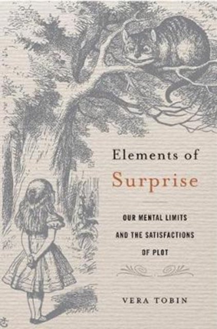 Elements of Surprise - Our Mental Limits and the Satisfactions of Plot