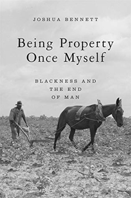 Being Property Once Myself - Blackness and the End of Man