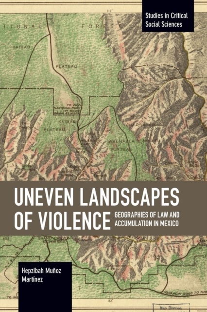 Uneven Landscapes of Violence - Geographies of Law and Accumulation in Mexico