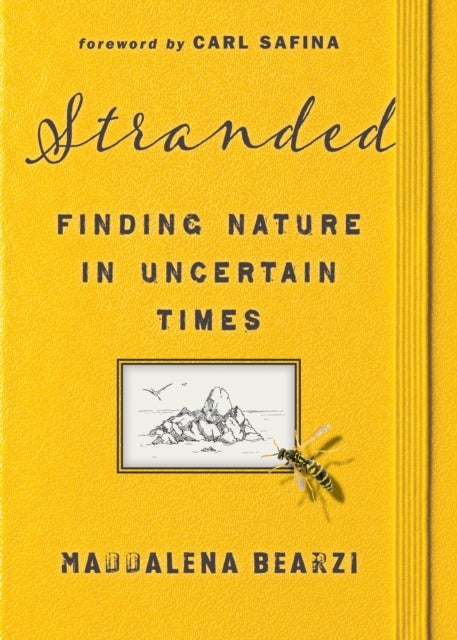 Stranded - Finding Nature in Uncertain Times