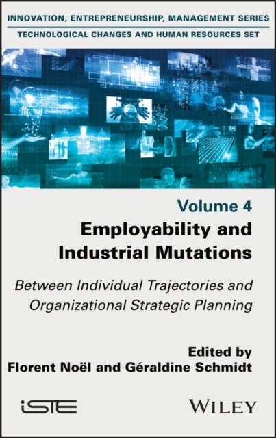 Employability and Industrial Mutations: Between Individual Trajectories and Organizational Strategic - Between Individual Trajectories and Organizational Strategic Planning, Volume 4