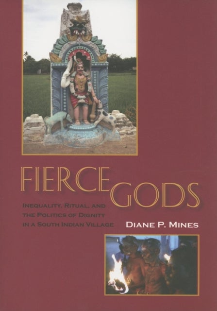 Fierce Gods - Inequality, Ritual, and the Politics of Dignity in a South Indian Village