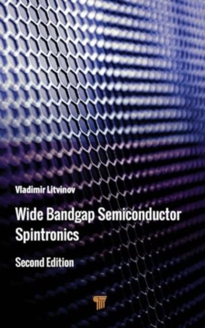 Wide Bandgap Semiconductor Spintronics