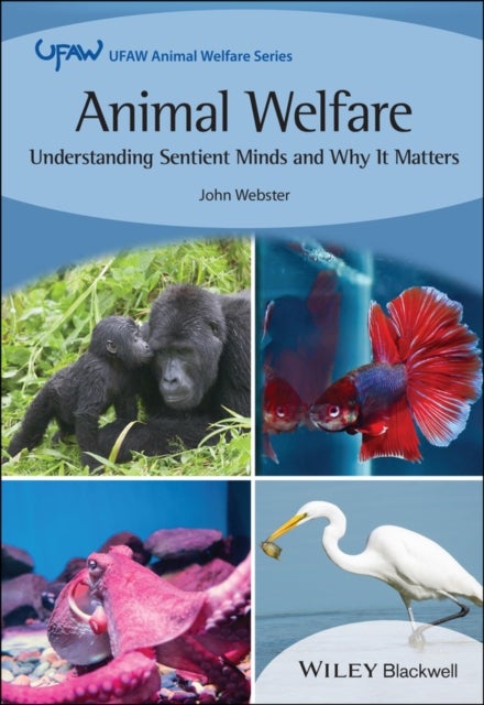 Animal Welfare - Understanding Sentient Minds and Why It Matters