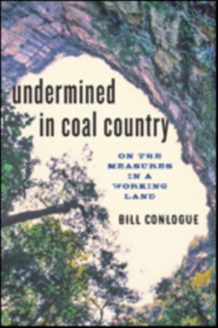 Undermined in Coal Country - On the Measures in a Working Land