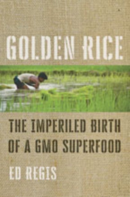 Golden Rice - The Imperiled Birth of a GMO Superfood