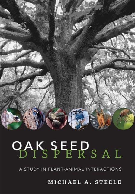 Oak Seed Dispersal - A Study in Plant-Animal Interactions