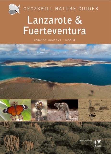 Lanzarote and Fuerteventura - Spain