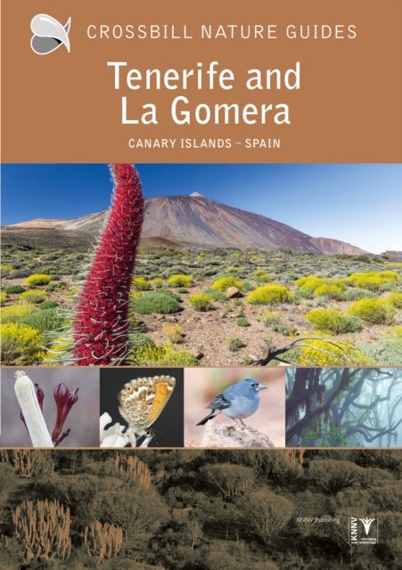 Tenerife and La Gomera - Canary Islands – Spain