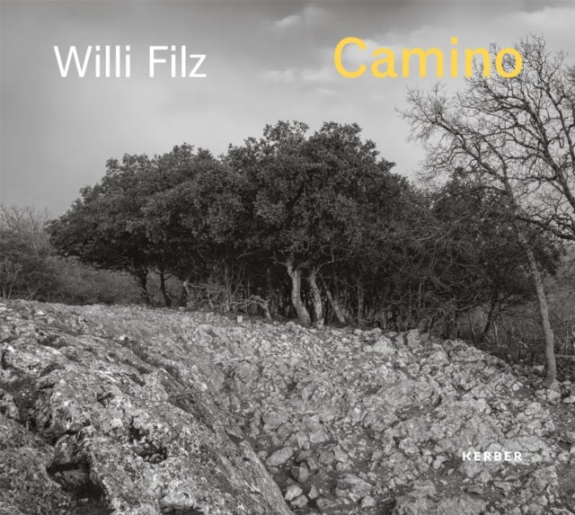 Camino - Willi Filz