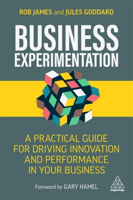 Business Experimentation - A Practical Guide for Driving Innovation and Performance in Your Business