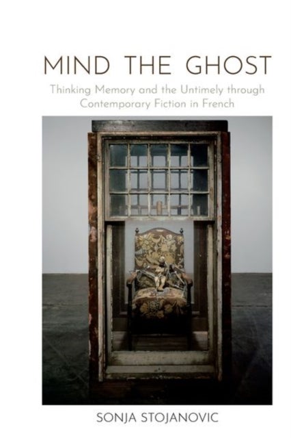 Mind the Ghost - Thinking Memory and the Untimely through Contemporary Fiction in French