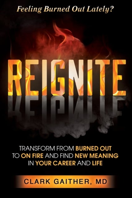 REIGNITE - Transform from Burned Out to On Fire and Find New Meaning in Your Career and Life