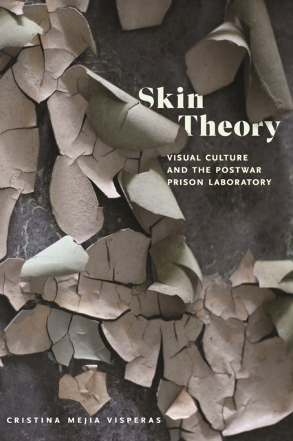 Skin Theory - Visual Culture and the Postwar Prison Laboratory
