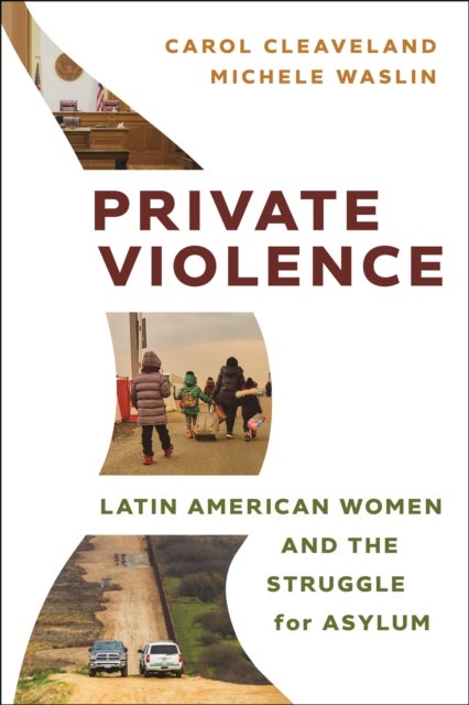 Private Violence - Latin American Women and the Struggle for Asylum