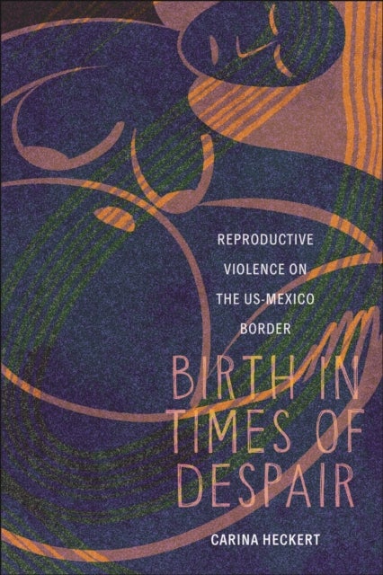 Birth in Times of Despair - Reproductive Violence on the US-Mexico Border