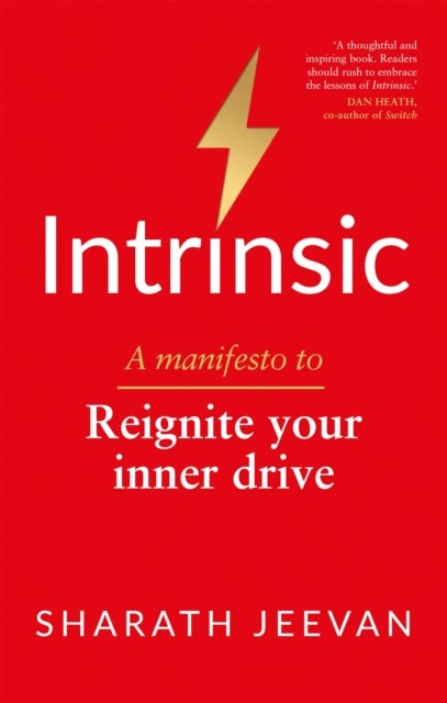 Intrinsic - A manifesto to reignite your inner drive