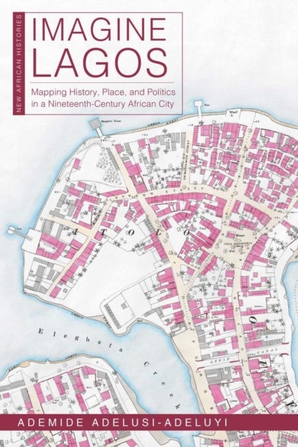 Imagine Lagos - Mapping History, Place, and Politics in a Nineteenth-Century African City