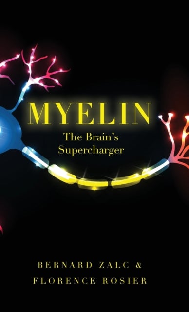 Myelin - The Brain's Supercharger