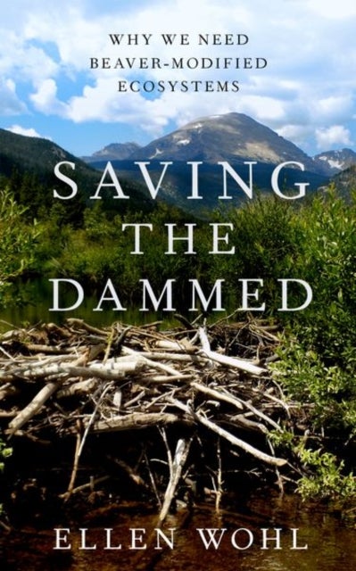 Saving the Dammed - Why We Need Beaver-Modified Ecosystems